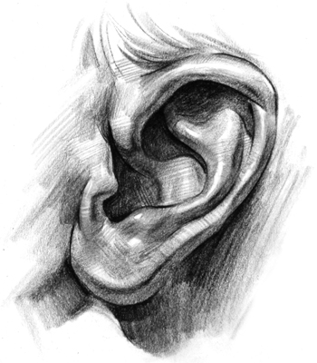 ear drawing ear drawing