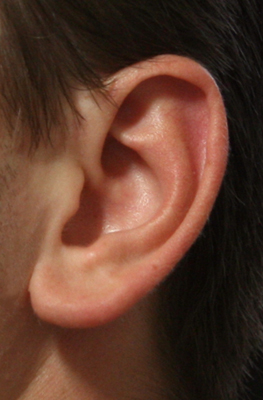 Ear Reference
