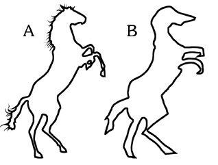 shape-good-bad