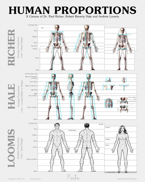 Artistic Anatomy By Dr Paul Richer Pdf Free