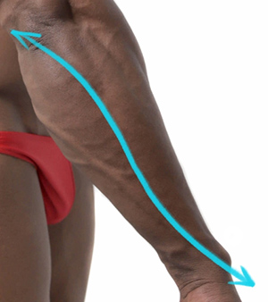 S curve rhythm of the arms