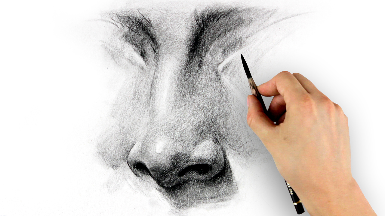 Featured image of post How To Draw A Human Nose / The nose is formed by a series of curved planes.
