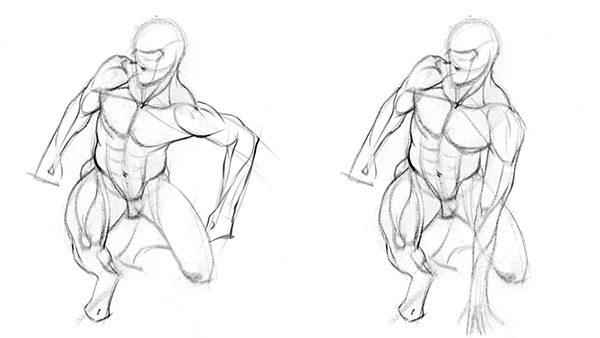 Introduction To Human Anatomy For Artists Proko