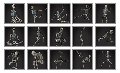proko anatomy reference books