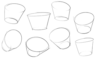 Image result for image of the pelvis as a bucket