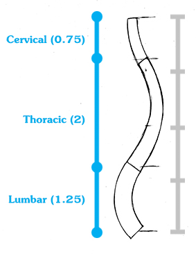 How-To-Draw-the-Spine-Step-1