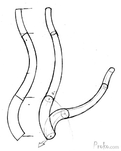 How-To-Draw-the-Spine-Step-2