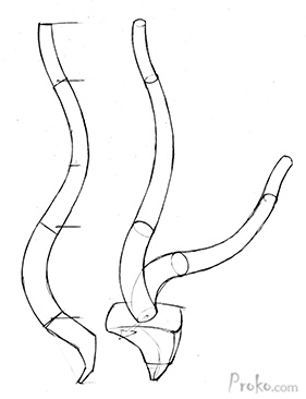 How-To-Draw-the-Spine-Step-3