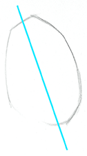 Rib Cage tilt and height to width ratio
