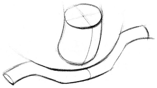 Featured image of post Pencil Collarbone Drawing Premium membership or 39 99 29 99