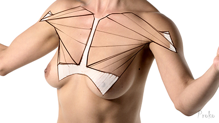 Musculos pectorales mujer Musculos pectorales mujer