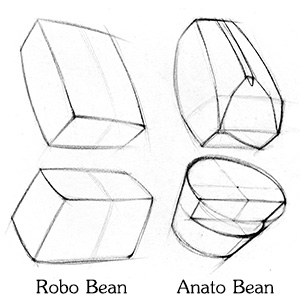 Robo Bean and Anato Bean