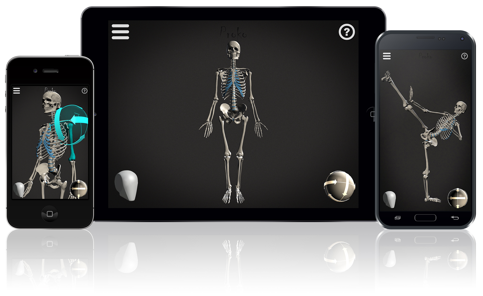 Skelly App available on Android and iOS devices
