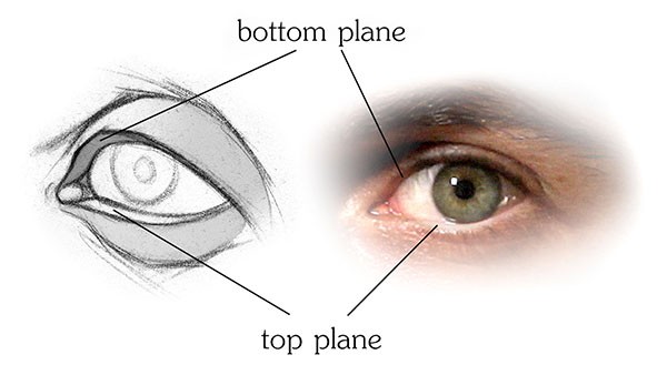 How To Draw Eyes Structure Proko