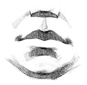 step by step major planes of the face values