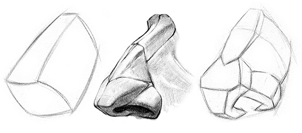 Simplificación, anatomía y planos de una nariz 