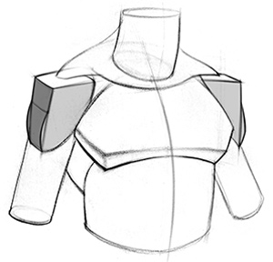 form anatomy is more than a muscle map