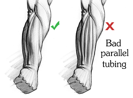 Featured image of post Muscle Drawing Reference Arm The 3 muscle groups of the forearm each have their own unique form