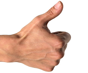snuff box thumb muscle