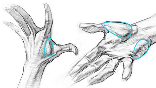 How To Draw Hands From Imagination Step By Step Proko