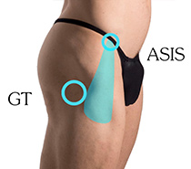 Attachments of the tensor fasciae latae