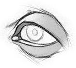 Eye drawn through observation