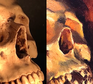 Nasal cavity comparison