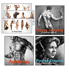 Download proko figure drawing fundamentals torrent version