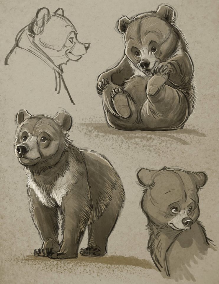Frère des Ours [Walt Disney - 2003] - Page 7 Aaron-Blaise-Bear-Cub-Character-Sketches
