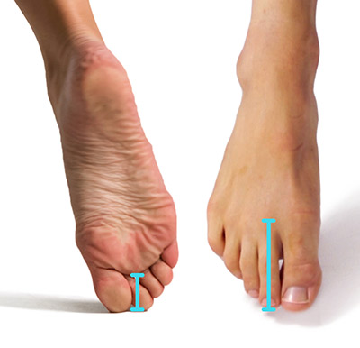 the length of the toes
