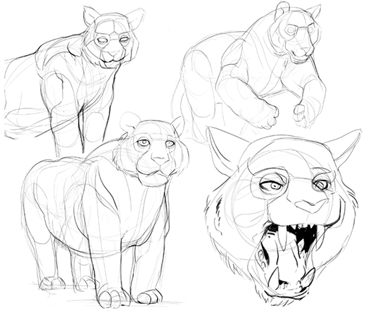 tigers